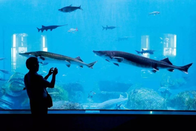 695538a510306-20251231-102736-69556b18876bb