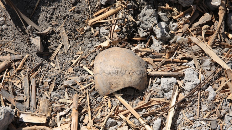 fosse-commune-syrie-20251208-102047-693716ff55d91 fosse-commune-syrie-20251208-102047-693716ff55d91