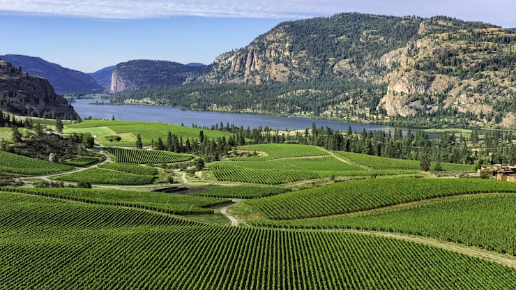 okanagan-vin-colombie-britannique-nature-lac-montagne-20251210-122046-6939d61e05540