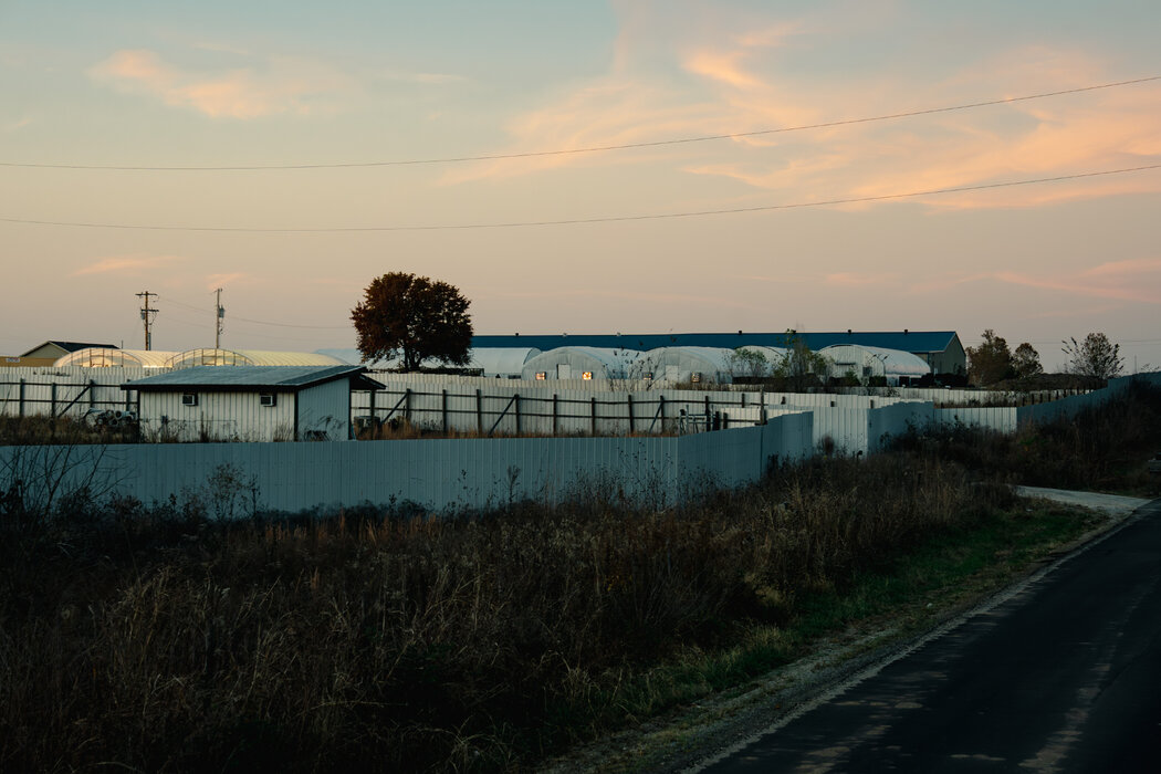 00ccp-pot-tgml-master1050-20260107-103400-695ea7188e10b