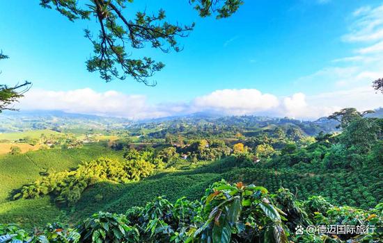 4610b912c8fcc3ce54263d2cd081e686d53f2019.jpeg@f_auto-20260120-203907-6970586b90993