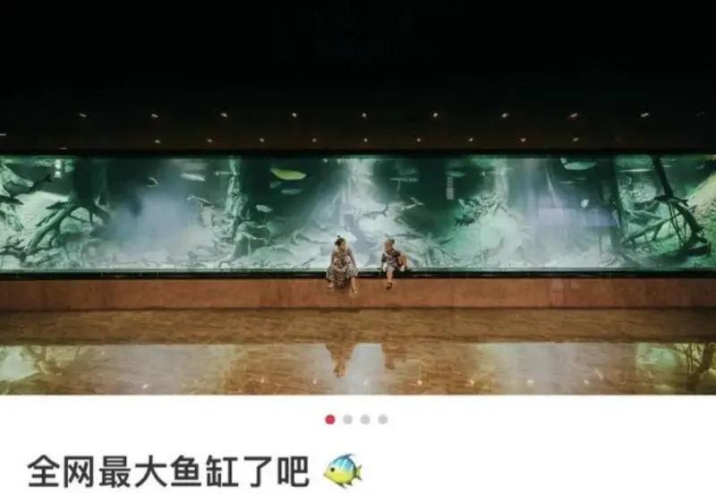 544_8_-20260109-113424-696158400a3d3 544_8_-20260109-113424-696158400a3d3