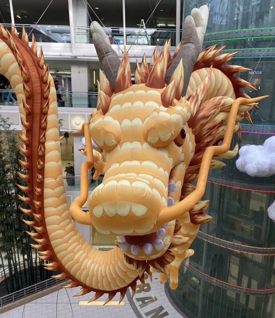 640-20260109-124247-696168471034d