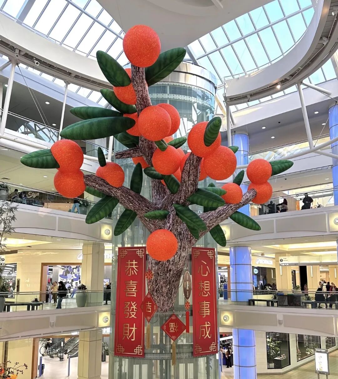 640-20260109-124247-69616847153a6