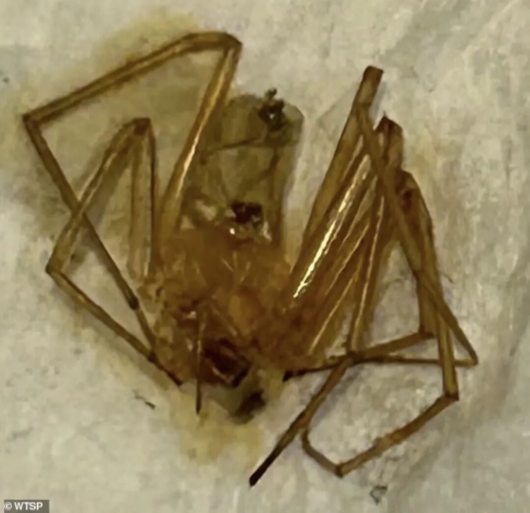 640-20260109-155656-696195c82731a