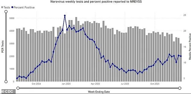 640-20260113-143542-6966c8beb0f4e