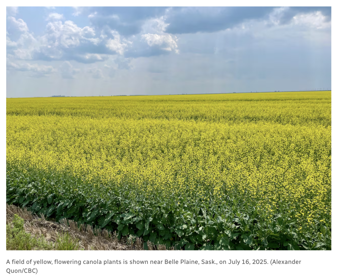 640-20260116-150819-696ac4e301a5d