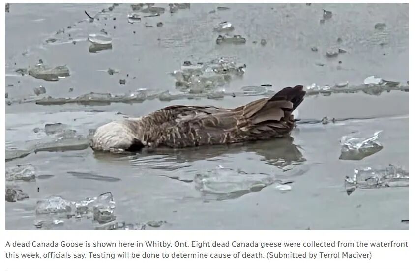 640-20260116-151501-696ac675785c2