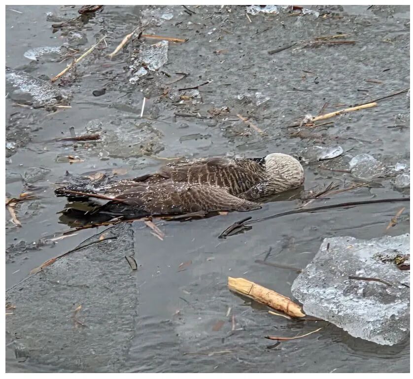 640-20260116-151501-696ac6757c12a