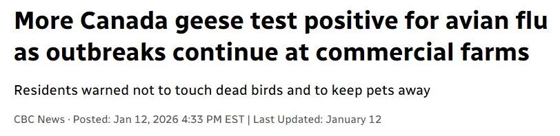 640-20260116-151501-696ac675b44a6