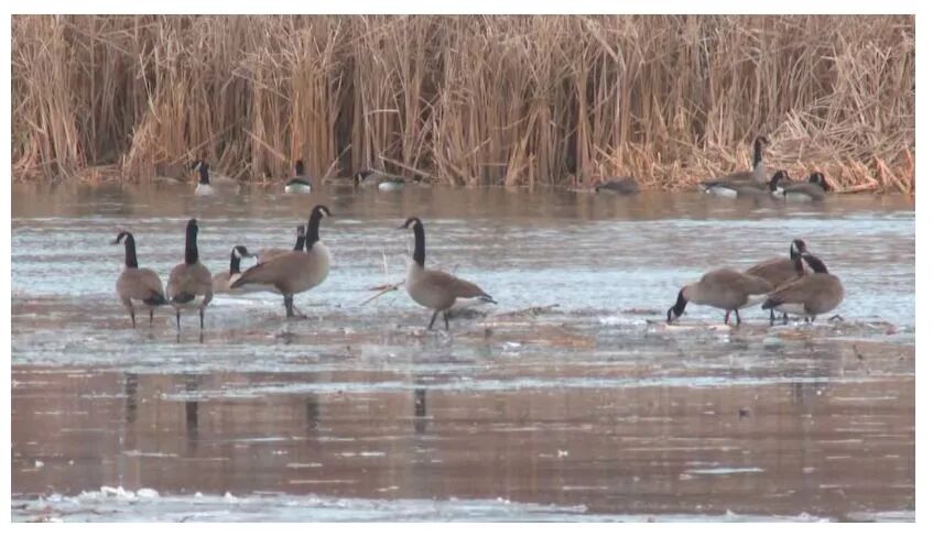 640-20260116-151501-696ac675b7c30