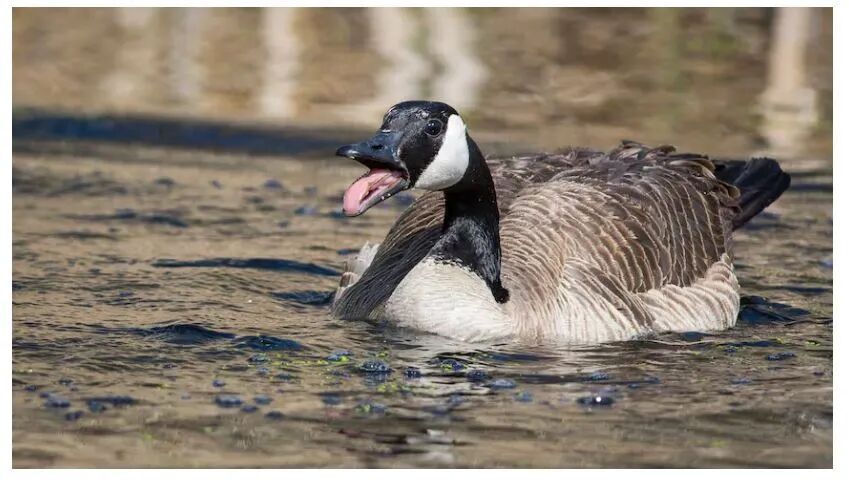 640-20260116-151503-696ac677047cc