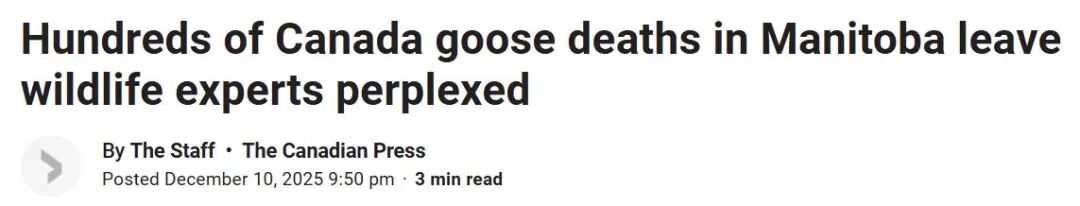 640-20260116-151503-696ac6771fe45