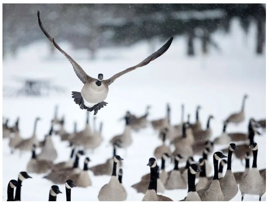 640-20260116-151503-696ac6777375b