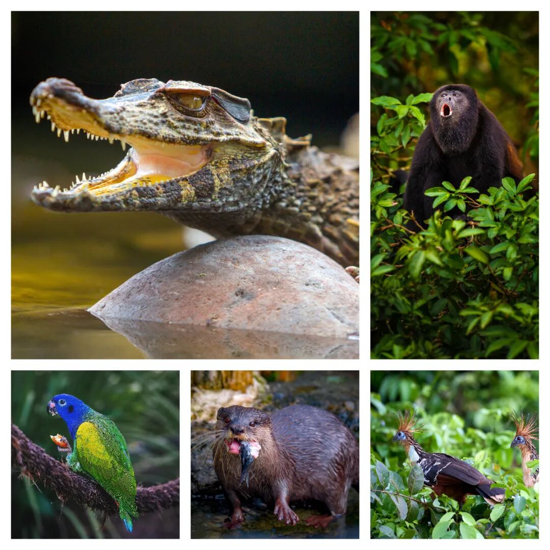 640-20260128-134813-697a841df3452