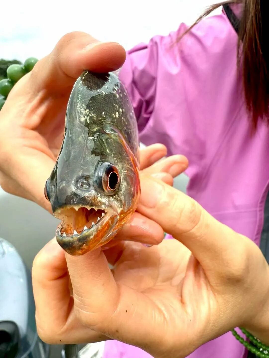 640-20260128-134814-697a841e1e682