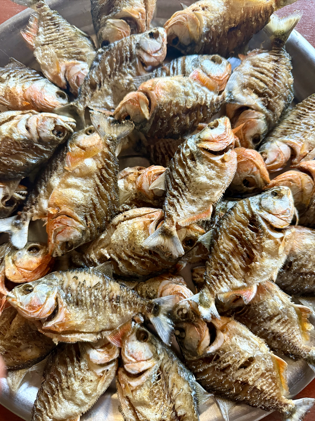 640-20260128-134814-697a841e3fa28