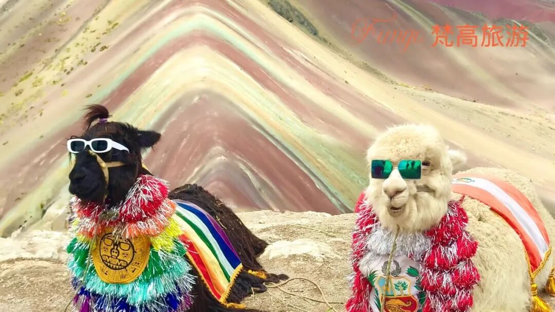 640-20260128-134817-697a8421a6f5d