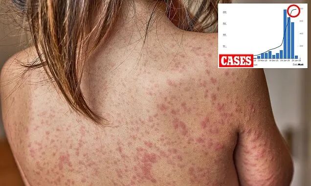 640-20260128-152212-697a9a24e061a 640-20260128-152212-697a9a24e061a