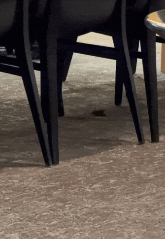 640-20260130-123925-697d16fd0cf67