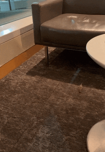 640-20260130-123925-697d16fd0fb5d