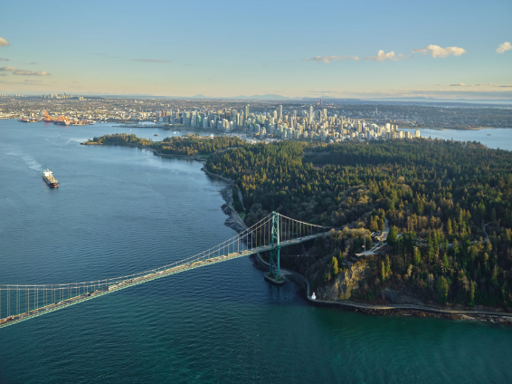 695d1efc16456-20260106-084727-695d3c9f5975f