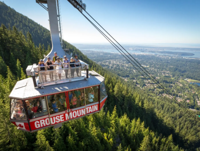 695d1efd196bd-20260106-084725-695d3c9da0bf9