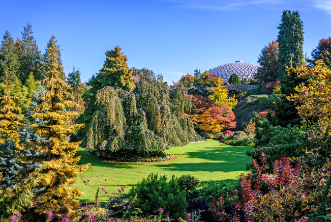 695d1efd68e4a-20260106-084727-695d3c9f3b68b