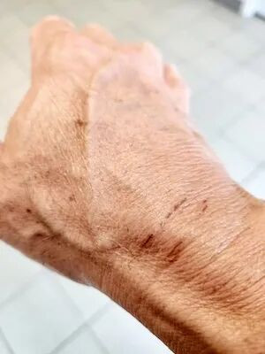 696271e8858d3-20260110-080335-6962785772a18