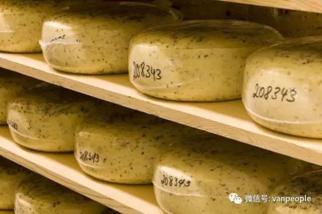 696ba29e808b4-20260117-085008-696bbdc07129b