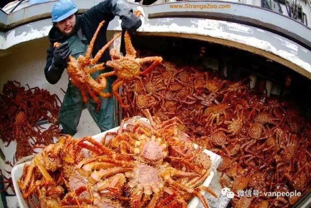 696ba29f4b5d9-20260117-085001-696bbdb957824