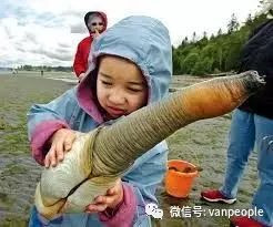 696ba29f6f583-20260117-085004-696bbdbce116b