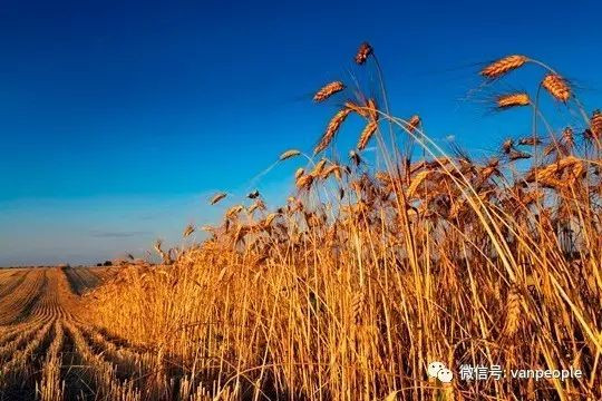 696ba29f94036-20260117-085006-696bbdbed8589