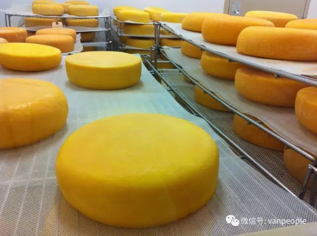 696ba29f96fbe-20260117-085008-696bbdc087412