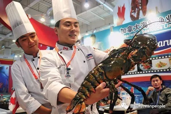 696ba29f9a3e9-20260117-085002-696bbdbae44f1