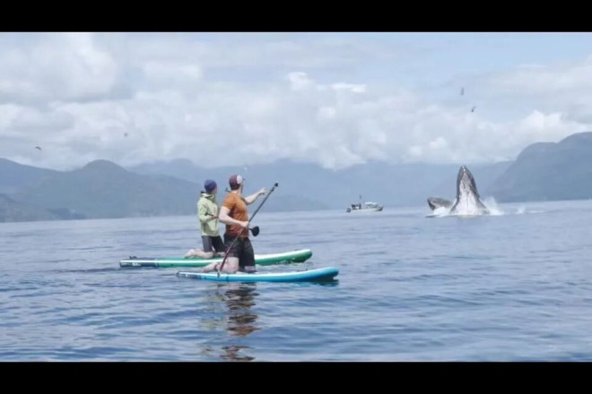 696f940e4d561-20260120-113002-696fd7ba4c060