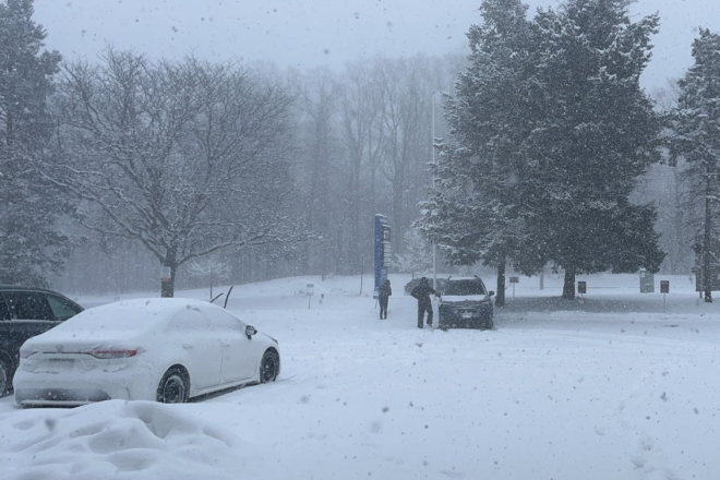 697630ba658d4-20260125-110455-697669573ce54 697630ba658d4-20260125-110455-697669573ce54