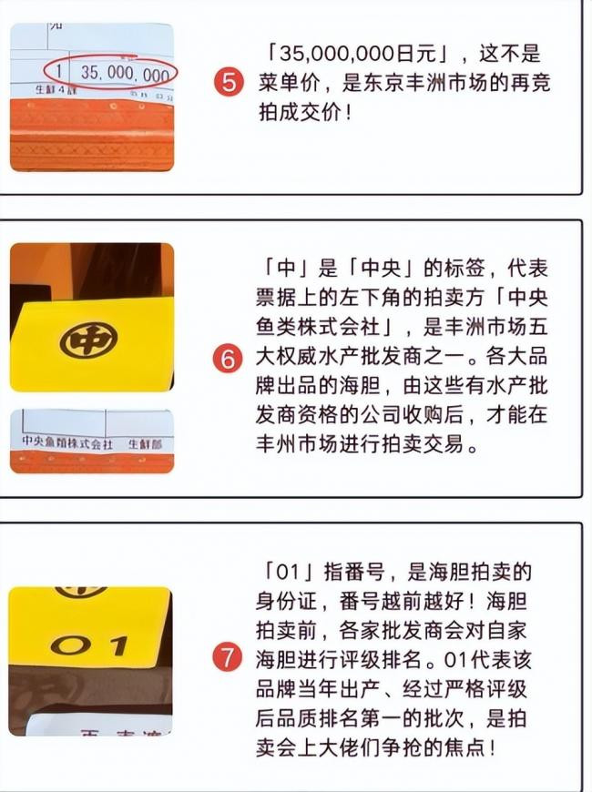 697797ced9fc6-20260126-103423-6977b3af2cf5c 697797ced9fc6-20260126-103423-6977b3af2cf5c