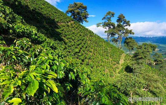 72f082025aafa40fb1947e85e9a0334179f0196e.jpeg@f_auto-20260120-203914-69705872dc403