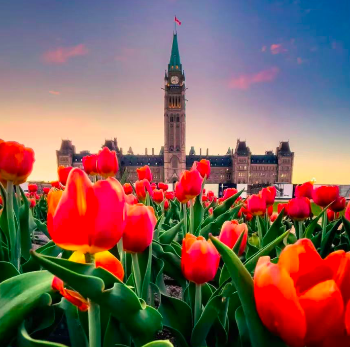 640-20260206-171402-698691da716d2