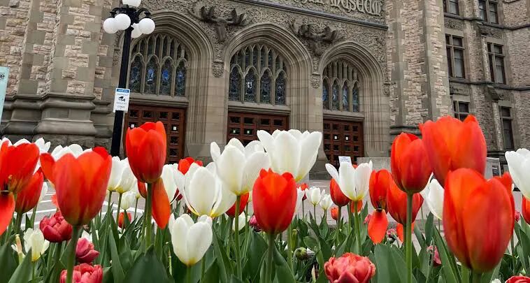 640-20260206-171403-698691db482cf