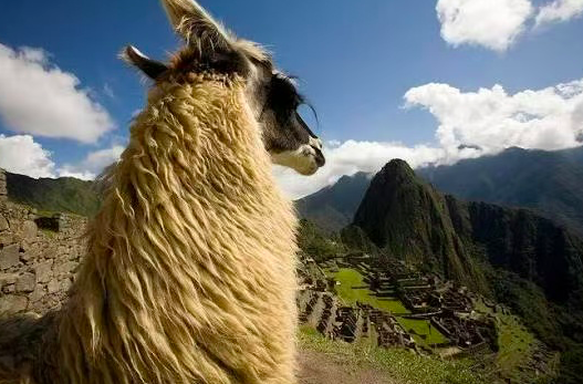 640-20260206-172407-698694373147c