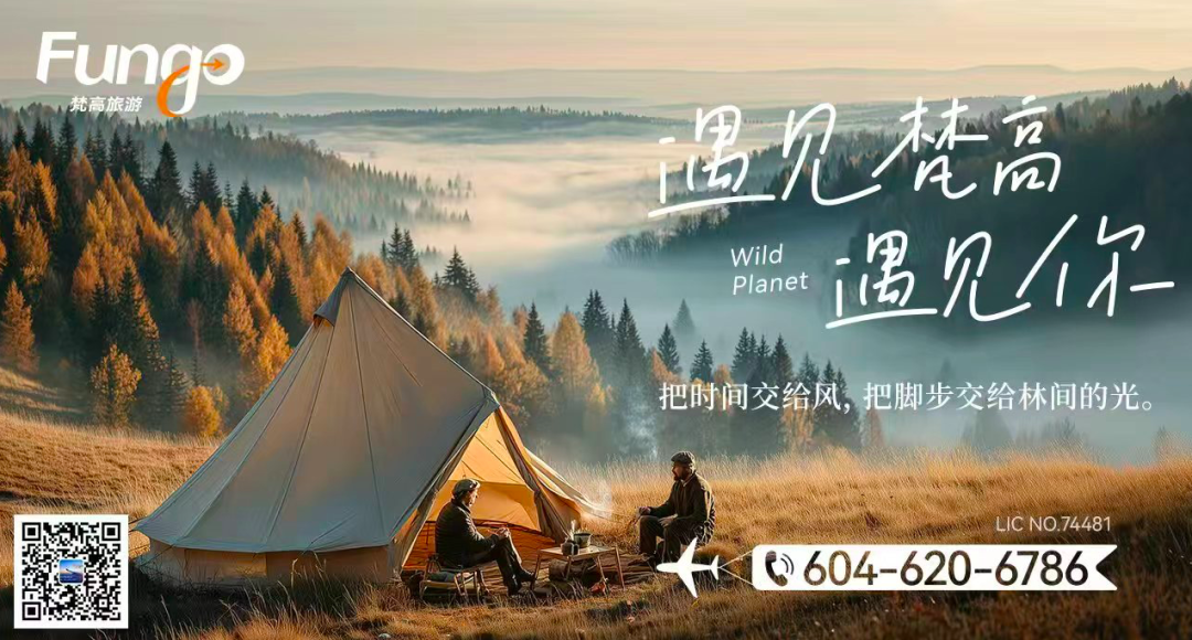 640-20260206-172731-69869503755ed