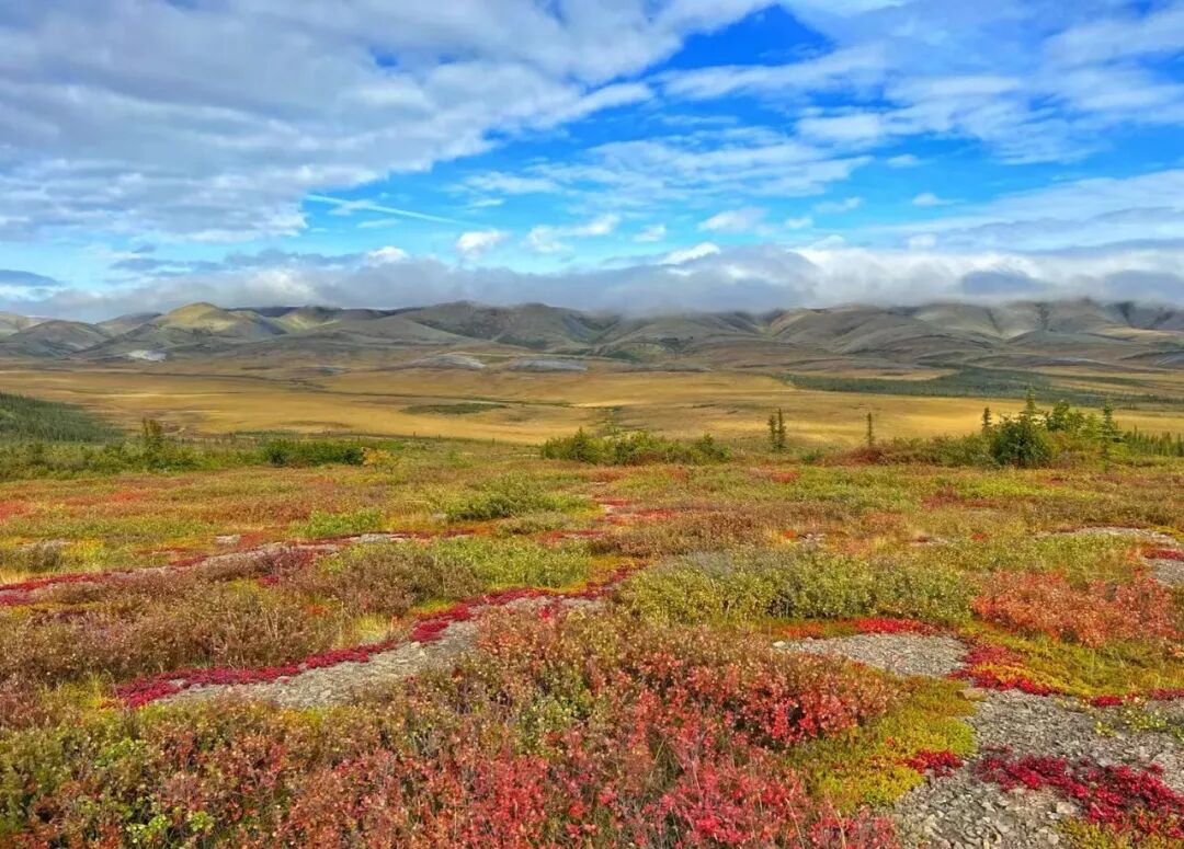 640-20260211-104416-698cce00212e7