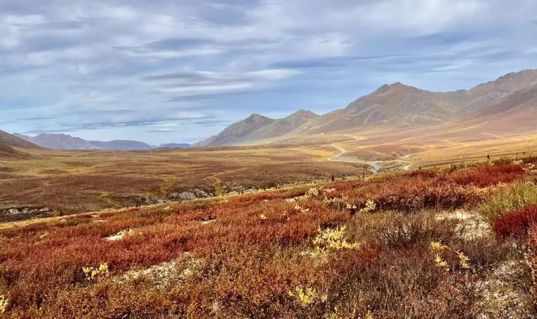 640-20260211-104417-698cce01a7b4d