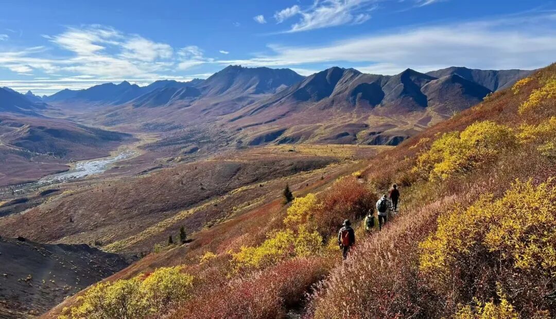 640-20260211-104418-698cce02a713e