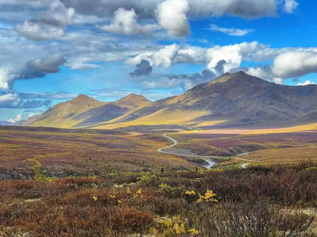 640-20260211-104422-698cce063d974