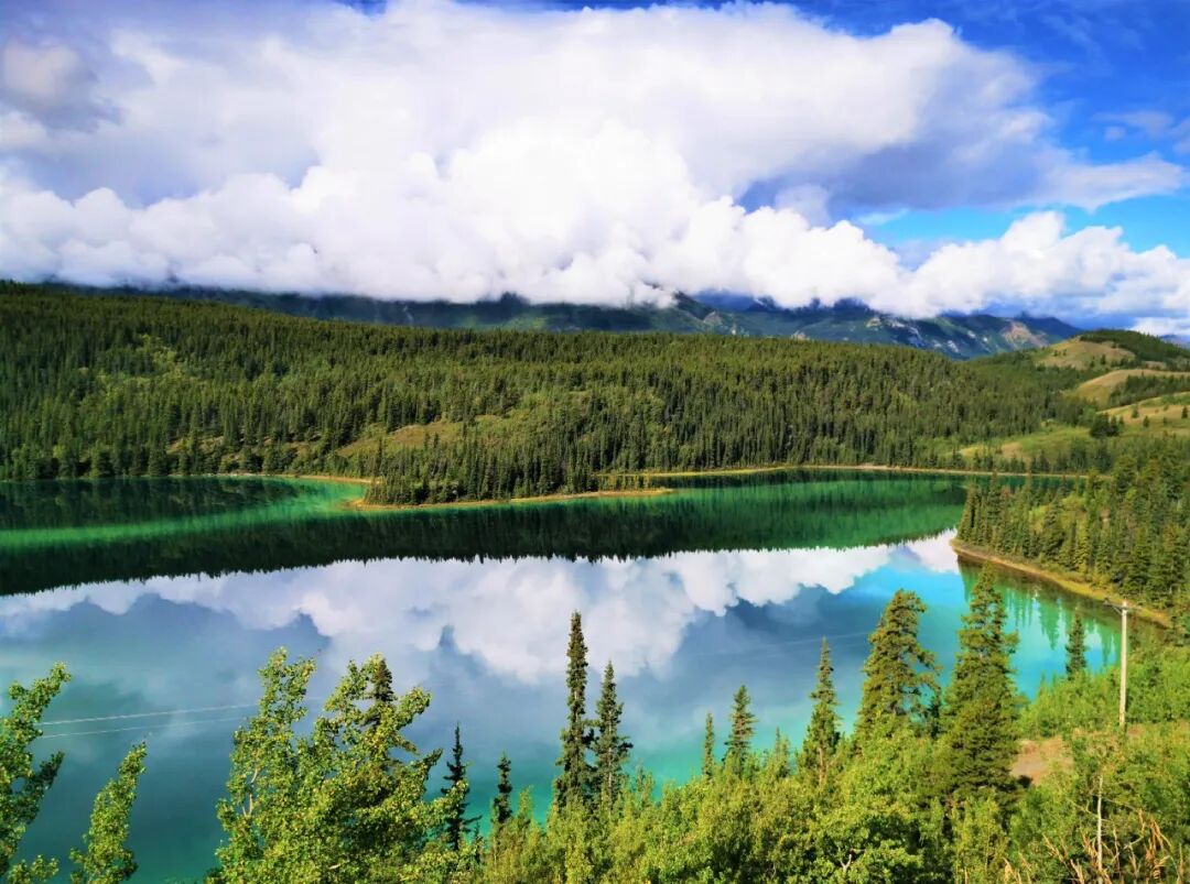 640-20260211-104427-698cce0b9a6a2