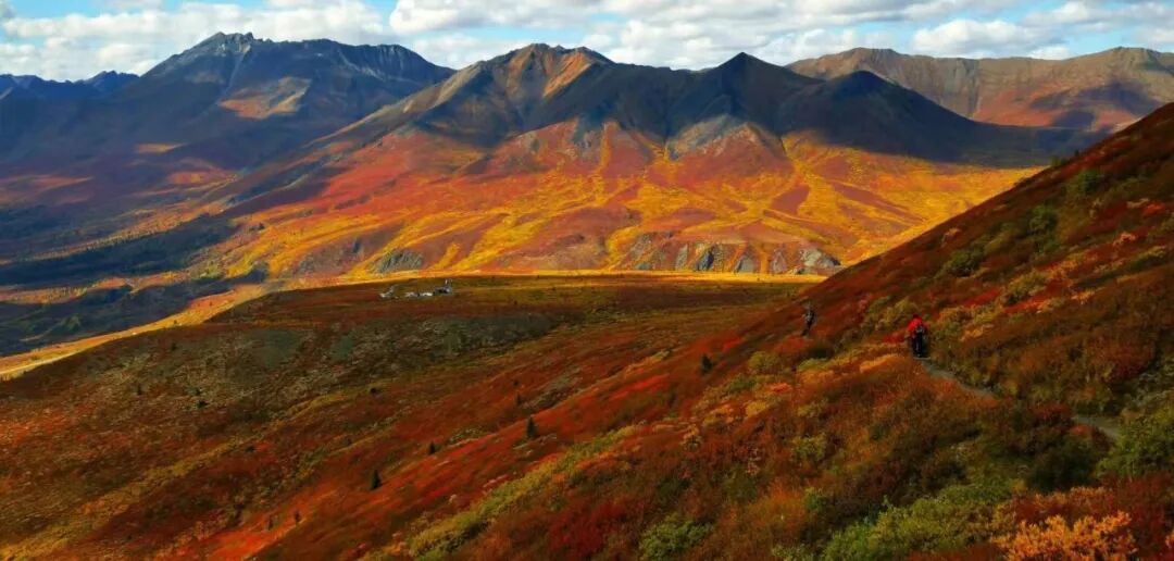 640-20260211-104432-698cce107c3fd