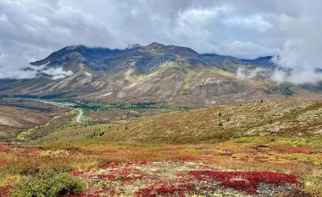 640-20260211-104432-698cce10c6d41